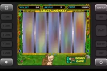 Crazy Monkey
